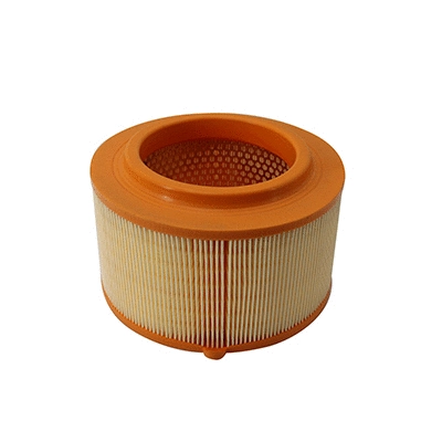 Air Filter (WG2152101)