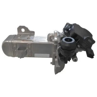 EGR Valve (WG1015329)