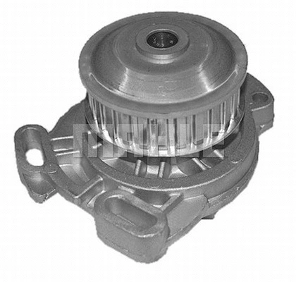 Water Pump, engine cooling (WG2181353)