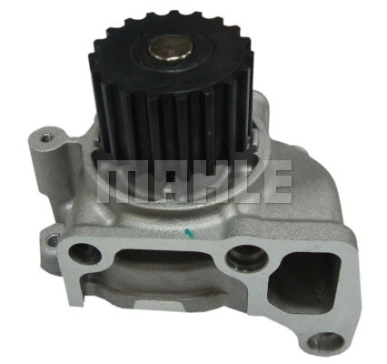 Water Pump, engine cooling (WG2181434)