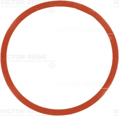 Gasket, intake manifold (WG1249689)