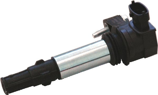 Ignition Coil (WG1012368)