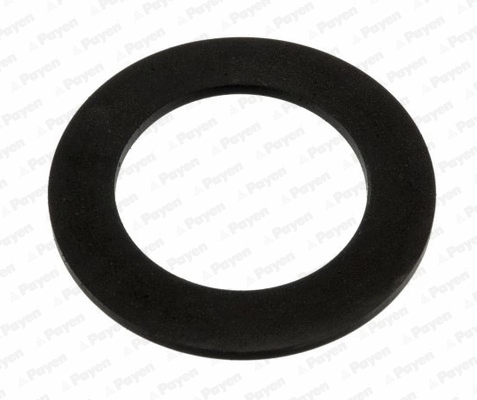 Seal, oil filler neck cap (WG2202445)
