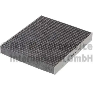 Filter, cabin air (WG1018800)