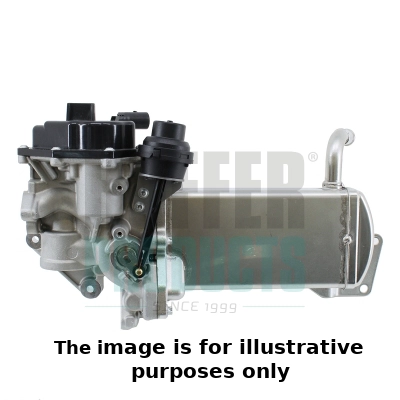 EGR Valve (WG2196324)