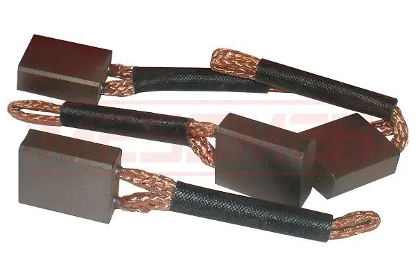 Carbon Brush, starter (WG2013677)