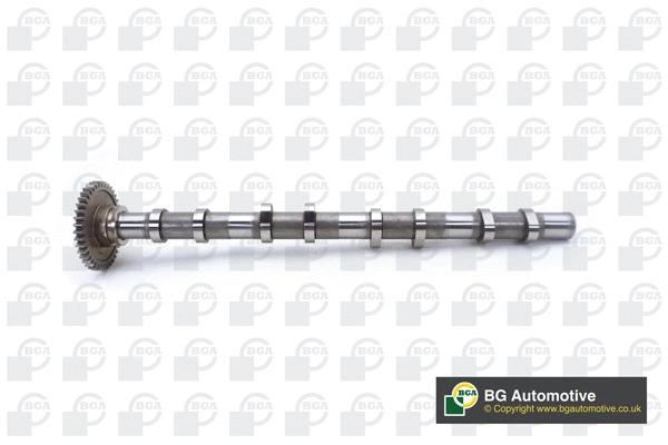Camshaft (WG2176621)