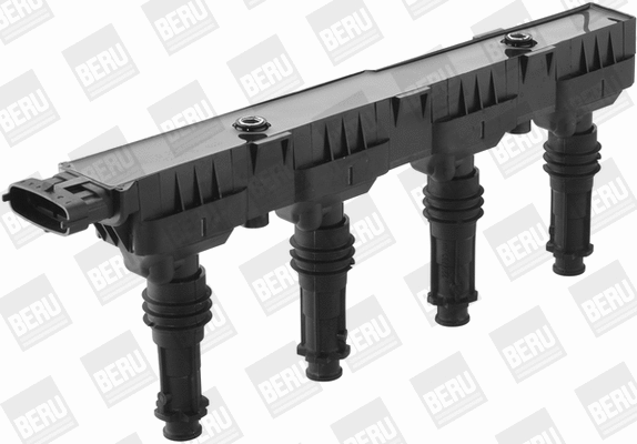 Ignition Coil (WG1487609)