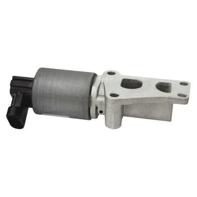EGR Valve (WG1015232)