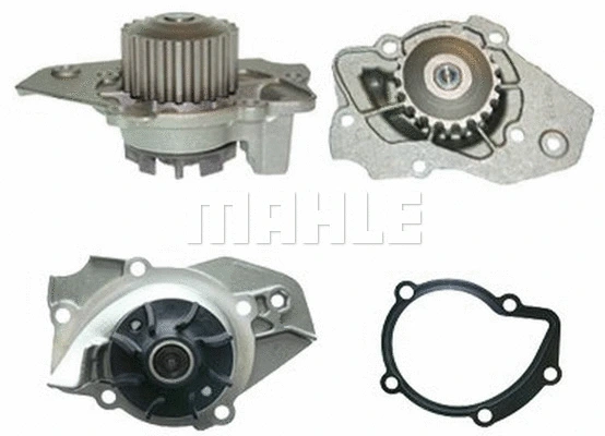 Water Pump, engine cooling (WG2181470)