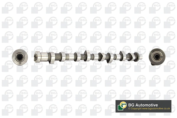 Camshaft (WG1490550)