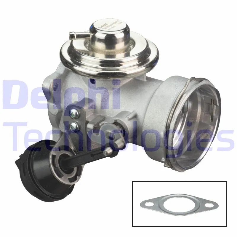 EGR Valve (WG2200534)