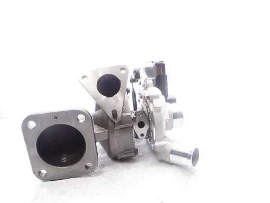 Charger, charging (supercharged/turbocharged) (WG2139404)