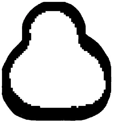 Gasket, intake manifold (WG1764052)