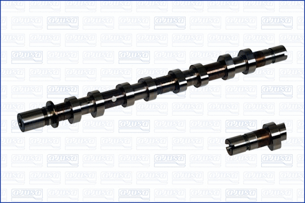 Camshaft (WG1456567)