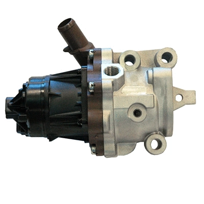 EGR Valve (WG2152205)