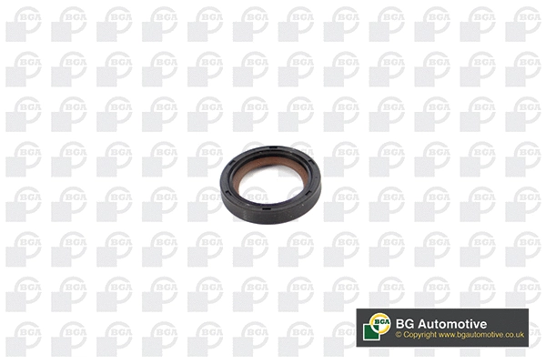 Shaft Seal, crankshaft (WG1904141)
