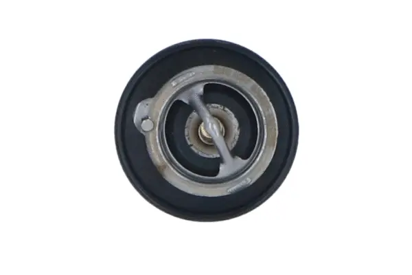 Thermostat, coolant (WG2184759)