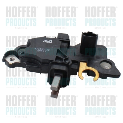 Alternator Regulator (WG2262539)
