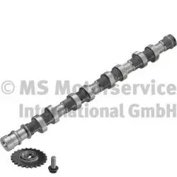 Camshaft (WG1924829)