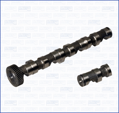 Camshaft (WG1456647)