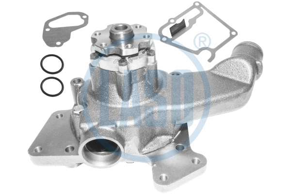 Water Pump, engine cooling (WG1709729)