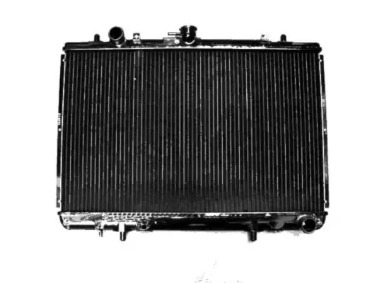 Radiator, engine cooling (WG1722390)