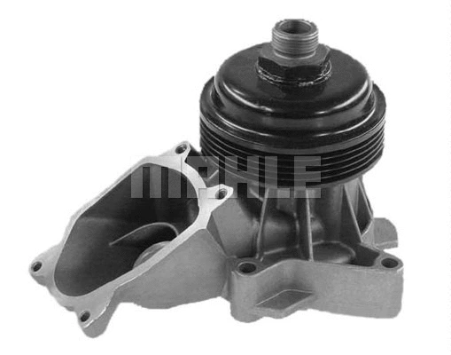 Water Pump, engine cooling (WG2181309)