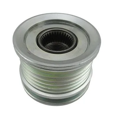 Alternator Freewheel Clutch (WG2262312)