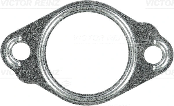 Gasket, exhaust manifold (WG1246578)