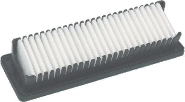 Air Filter (WG1747537)