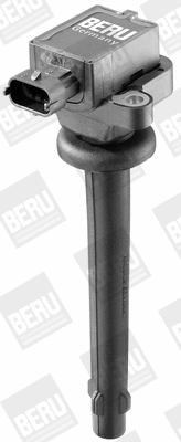 Ignition Coil (WG1487395)