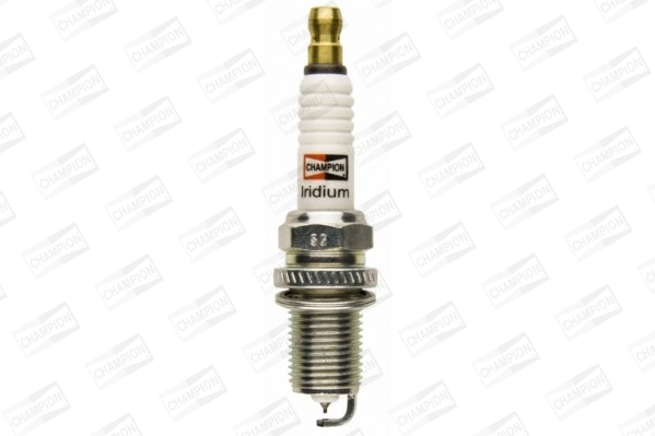 Spark Plug (WG2009596)