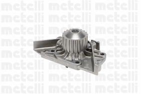 Water Pump, engine cooling (WG1790549)