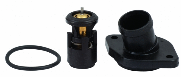 Thermostat, coolant (WG1409367)