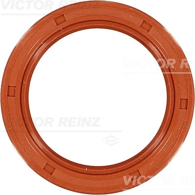 Shaft Seal, crankshaft (WG1249813)