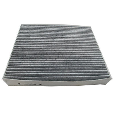 Filter, cabin air (WG1903566)