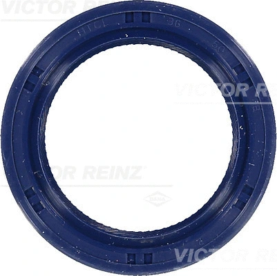 Shaft Seal, camshaft (WG1250469)