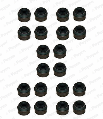 Seal Set, valve stem (WG1181371)