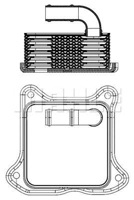 Oil Cooler, engine oil (WG2181148)