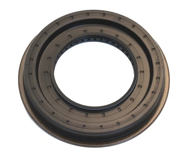 Shaft Seal, differential (WG1222343)
