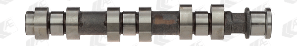 Camshaft (WG1093077)