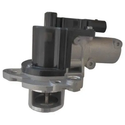 EGR Valve (WG1804726)