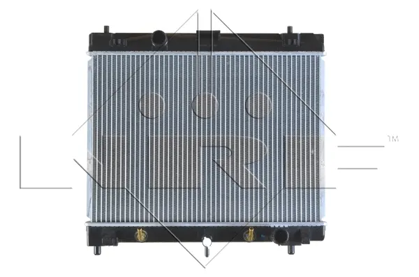 Radiator, engine cooling (WG1723446)