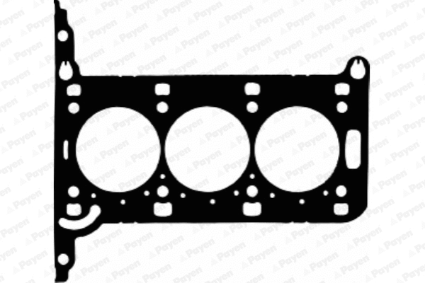 Gasket, cylinder head (WG1090896)