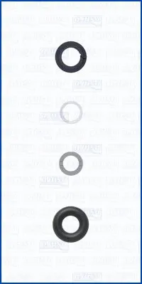 Seal Kit, injector nozzle (WG2083716)