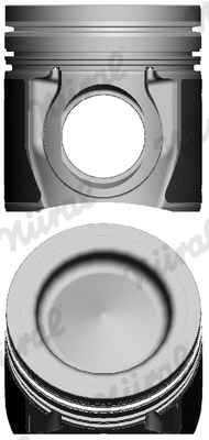 Piston (WG1175184)