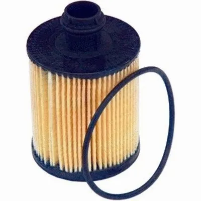 Oil Filter (WG1746624)