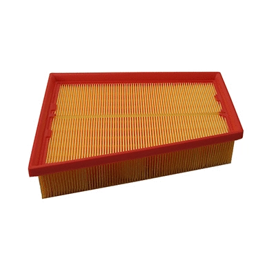 Air Filter (WG2152162)