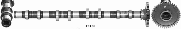 Camshaft (WG2101428)
